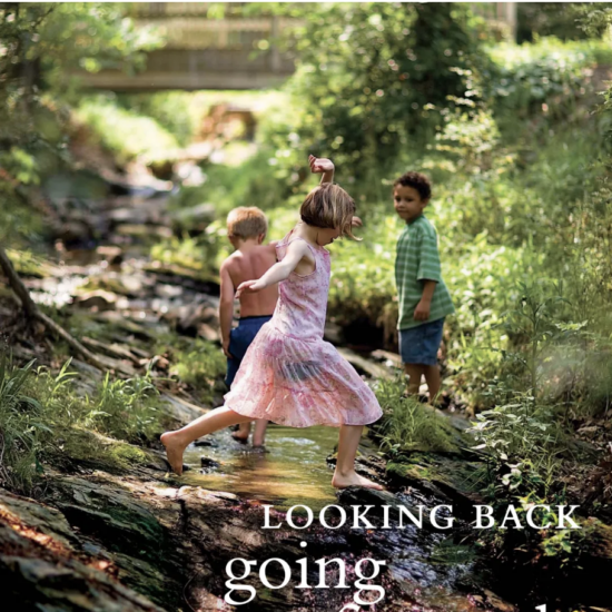 Children playing in nature - Moving the needle plan cover